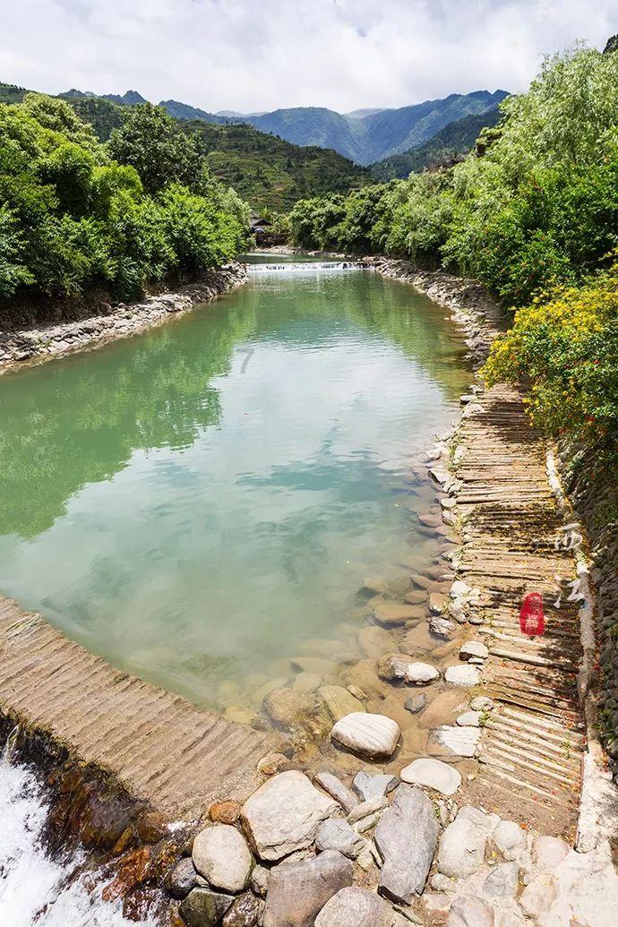 欧阳夏丹钻进草莓大棚：采摘草莓大口吃，此前在西安回民街猛吃美食